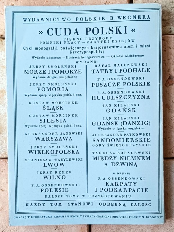 Tadeusz Łopalewski • Między Niemnem A Dźwiną. Ziemia Wileńska I Nowogródzka  - okładka