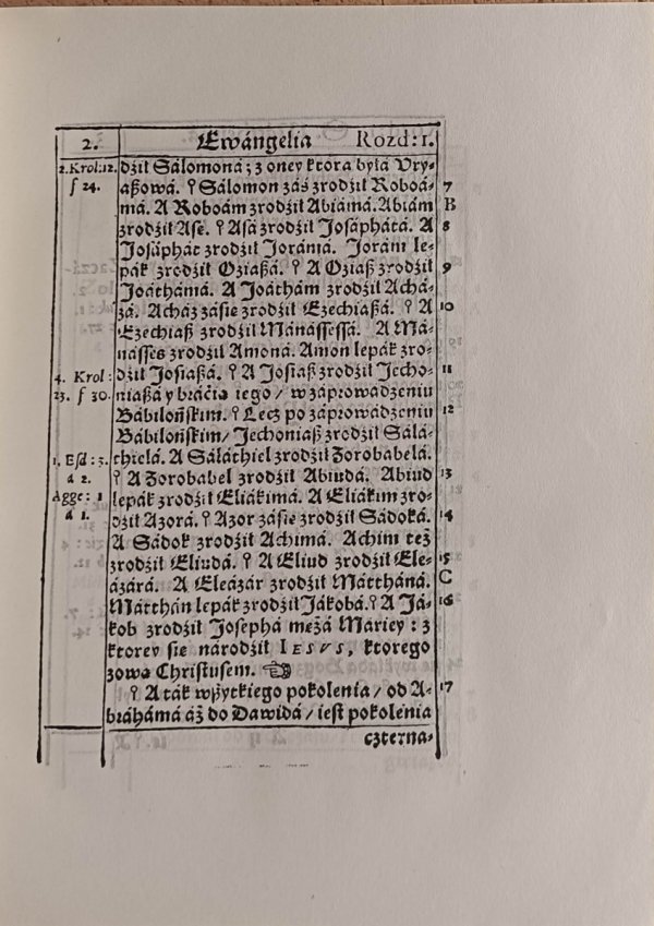 Okładka książki Nowy Testament autorstwa Jakub Wujek - fragment