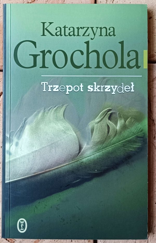 Katarzyna Grochola Trzepot skrzydeł - okladka