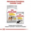 Royal Canin Medium Dermacomfort karma sucha dla psów dorosłych, ras średnich o wrażliwej skórze 10kg