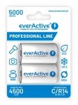 R14 Akumulator 2Bl Everactive 5000 Professional Line