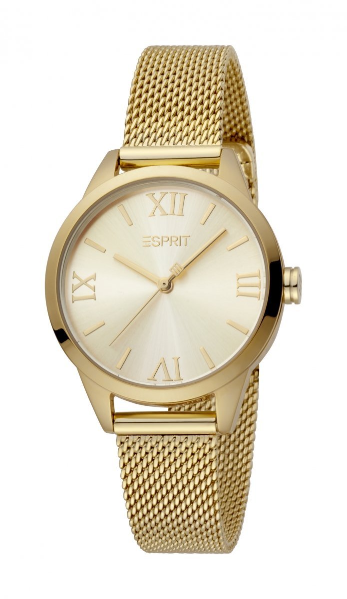 Regulatie Inloggegevens steen esprit zwroty groei klimaat focus