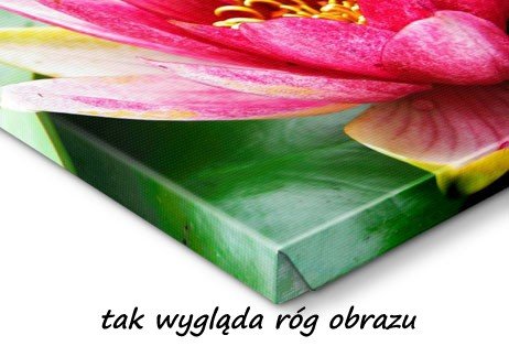 Fotoobraz 50x70 cm / 70x50 cm - obraz z twojego zdjęcia- darmowa dostawa