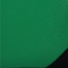 Dámská kabelka univerzální Herisson dračí zelená 1602A220