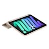TECH-PROTECT SC PEN IPAD MINI 8.3” 6 / 7 / 2021-2024 STARLIGHT