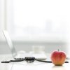 4smarts Ładowarka indukcyjna VoltBeamMini dla Apple Watch 1-8/SE z kablem 1m USB-C 2.5W biały/white 462550