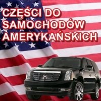 Panewki Główne sil 2,3l 0,50 BUICK: Skylark CHEVY: Beretta Cavalier PONTIAC: GrandAM Grand Prix Sunfire Trans Sport 