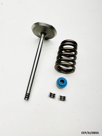 Intake Valve Kit for Jeep Cherokee XJ 2.5L 4.0L 1999-2001 EEP/XJ/089A