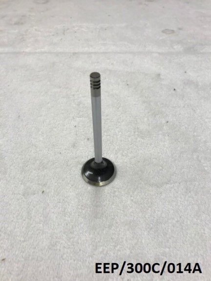 Intake Valve for Chrysler 300C / Charger 5.7L 2006-2008  EEP/300C/014A