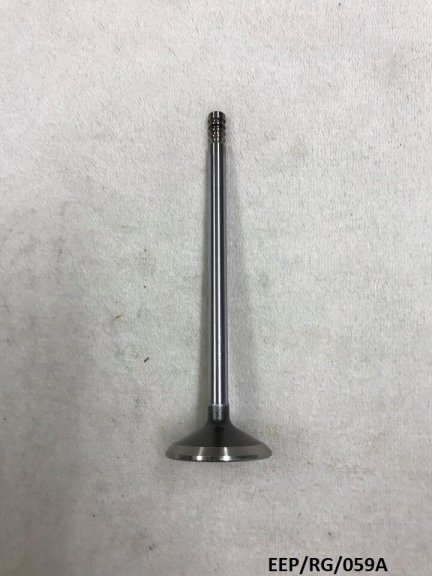 Intake Valve for Chrysler Grand Voyager 3.3L & 3.8L 2001-2010 EEP/RG/059A