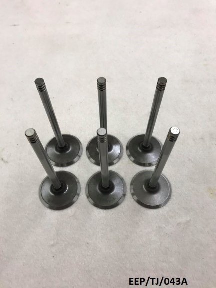 6 x Exhaust Valve for Jeep Wrangler YJ & TJ 4.0L 1987-2006 EEP/TJ/043A