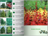Katalog roślin 2016. Drzewa, krzewy, byliny