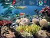 Hawaiian Explorer. Pearl Harbor. Smart games. PC CD-ROM + 4 gry w wersji demo
