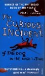 Curious Incident of the Dog in Night-Time