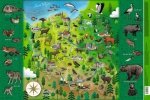 Podkładka na biurko Mapa Polski zwierzątka