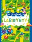 Mózgołamacze Labirynty