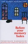 Before Your Memory Fades