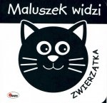 Maluszek widzi. Zwierzątka