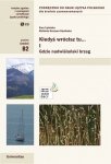 Kiedyś wrócisz tu... Gdzie nadwiślański brzeg. A Polish Language Textbook for Intermediate cz. I z nagraniami (B2) EBOOK