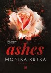 Ashes. The Chain. Tom 3