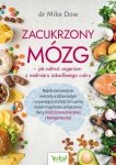 Zacukrzony mózg. Jak odtruć organizm z nadmiaru szkodliwego cukru