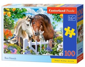 Puzzle 100 Best Friends