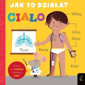 Jak to działa Ciało