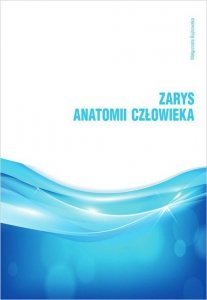 Zarys anatomii człowieka