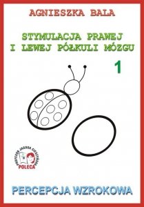 Stymulacja prawej i lewej półkuli mózgu 1 Percepcja wzrokowa