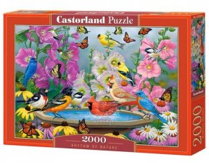 Puzzle 2000 Rhythm of Nature