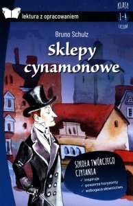 Sklepy cynamonowe lektura z opracowaniem