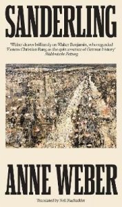 Sanderling wer. angielska