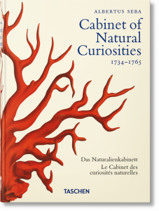 Cabinet of Natural Curiosities wer. angielska