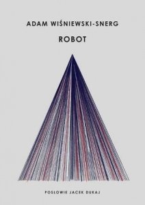 Robot. Adam Wiśniewski-Snerg