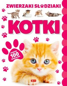 Kotki