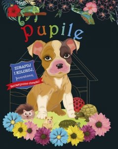 Pupile. Zdrapuj i koloruj