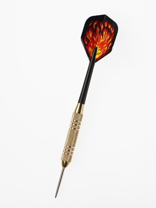 Catdart rzutki STEELTIP Beast 20g (gra profesjonalna)