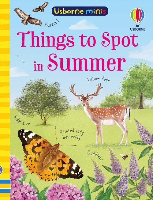 Mini Books Things to Spot in Summer