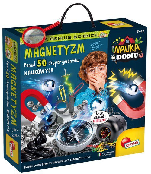 Nauka w domu Magnetyzm