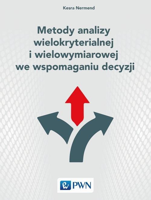 Metody analizy wielokryterialnej i wielowymiarowej we wspomaganiu decyzji