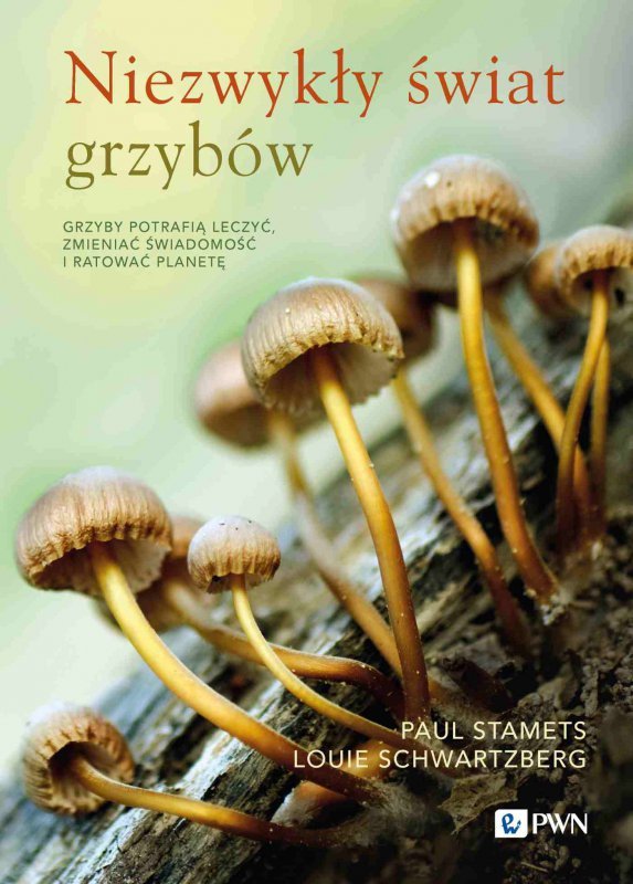 Niezwykły świat grzybów