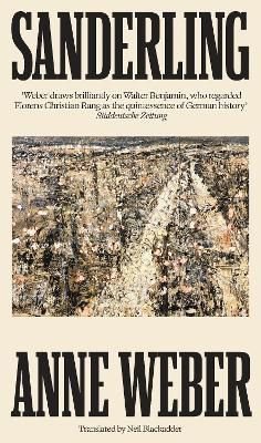 Sanderling wer. angielska