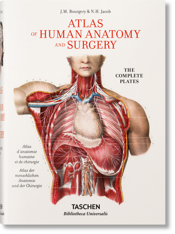 Bourgery. Atlas of Human Anatomy and Surgery wer. angielska
