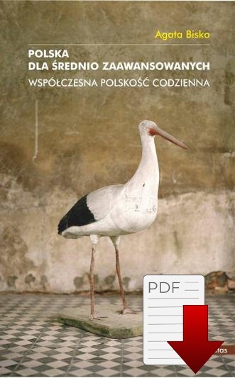 Polska dla średnio zaawansowanych. Współczesna polskość codzienna