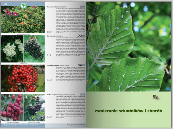 Katalog roślin 2016. Drzewa, krzewy, byliny