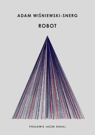 Robot. Adam Wiśniewski-Snerg