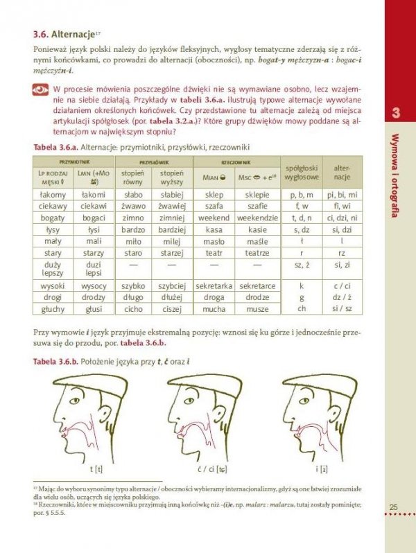 Odkrywamy język polski. Gramatyka dla uczących (się) języka polskiego jako obcego - przykładowa strona
