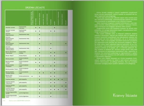 Zielone Miasto. Zieleń Przy Ulicach 