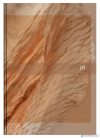 Kalendarz Oxford Nature 10x15 2025 Mix 400189670 tygodniowy