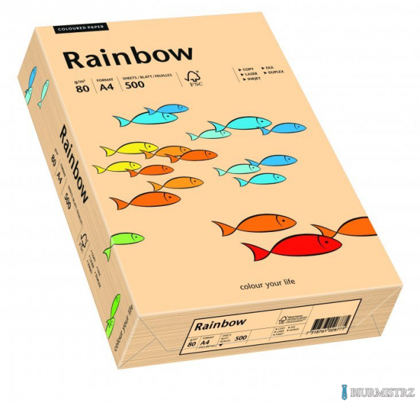 Papier xero kolorowy RAINBOW łosiosiowy R40 88042497